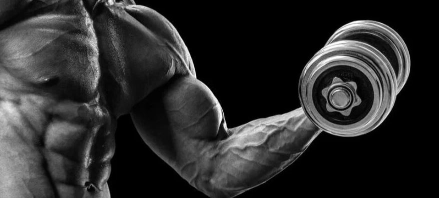 bodybuilding